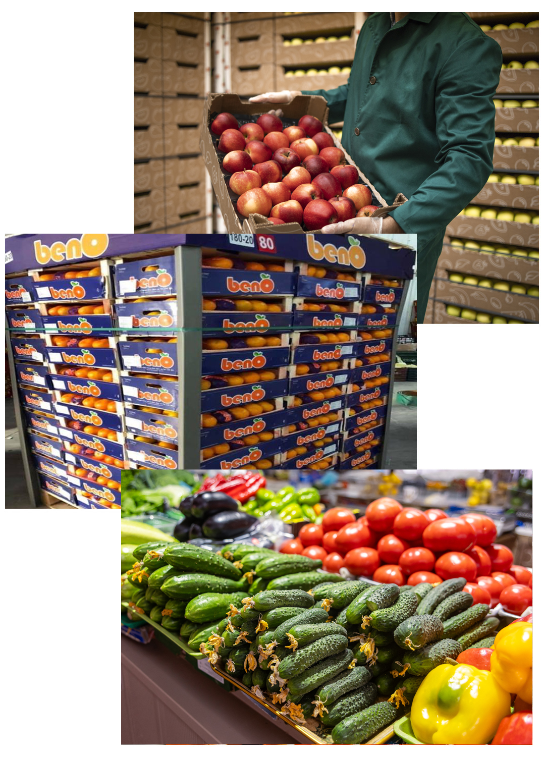 Beno Citrus Fruits