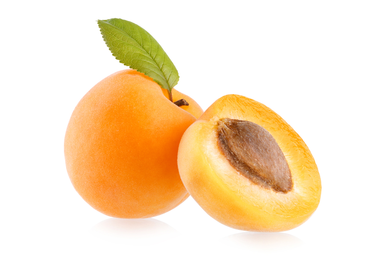 Apricot