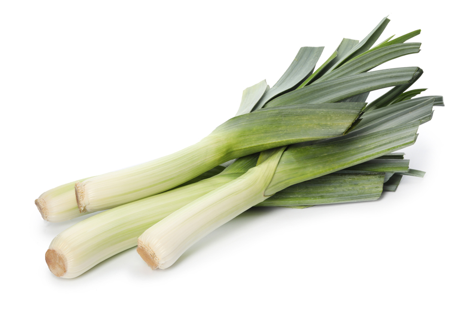 Leek